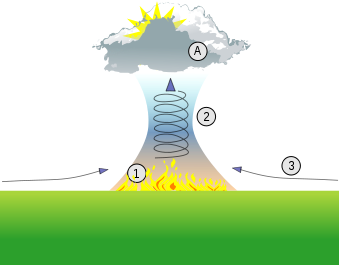 339px-Firestorm_thermal_column.svg