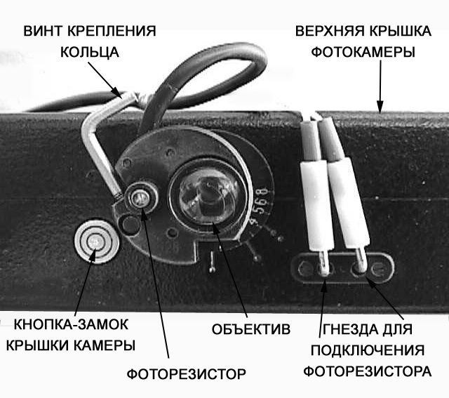 Забег_объектив